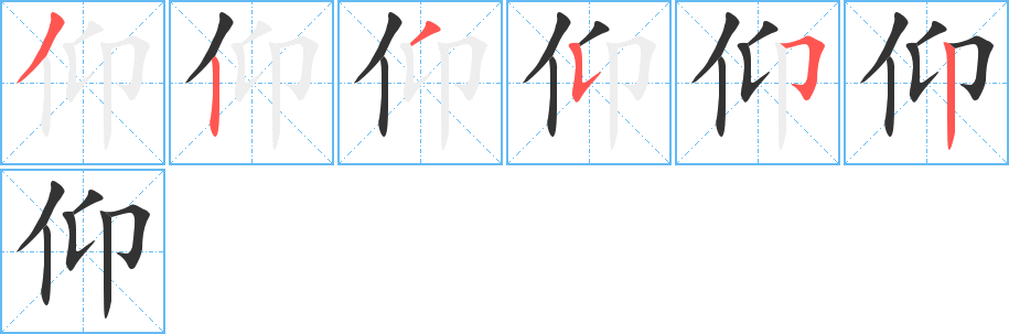 仰的笔顺分步演示