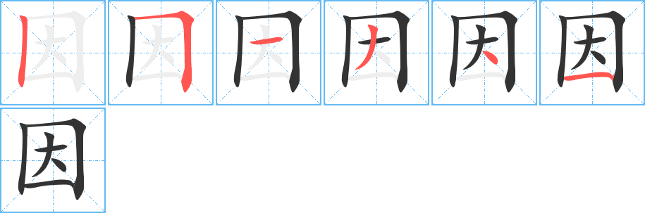 因的笔顺分步演示