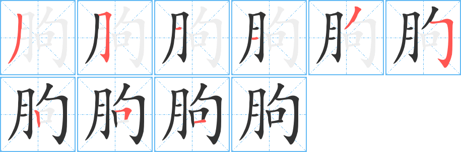 朐的笔顺分步演示