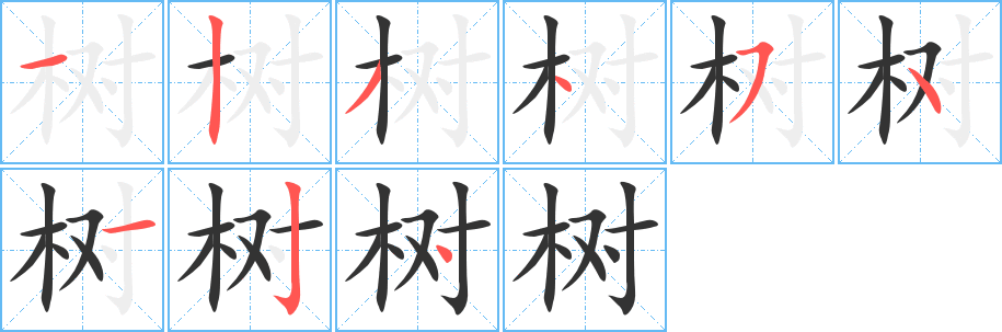 树的笔顺分步演示