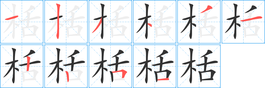 栝的笔顺分步演示