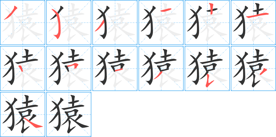 猿的笔顺分步演示