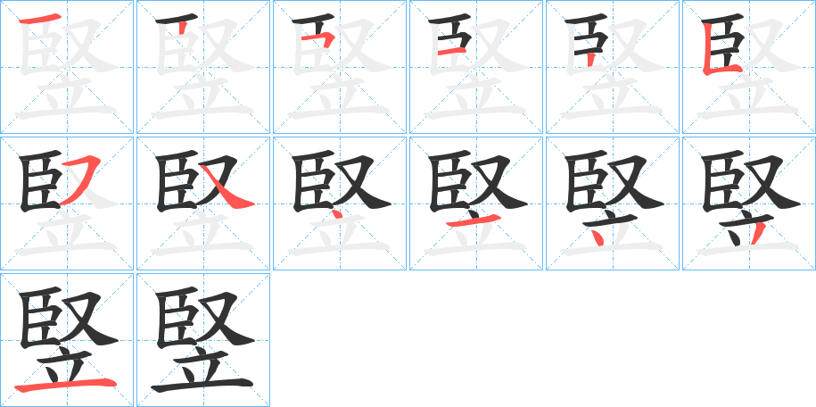 竪的笔顺分步演示