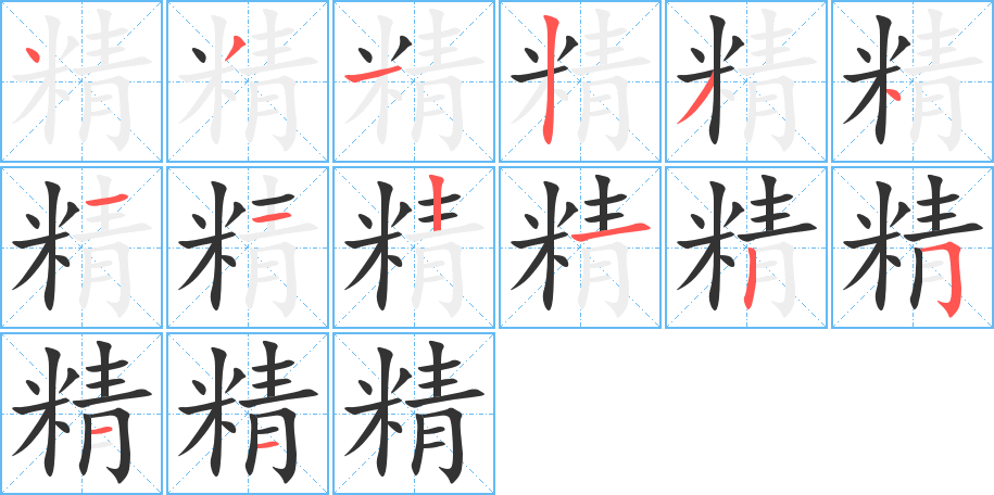 精的笔顺分步演示