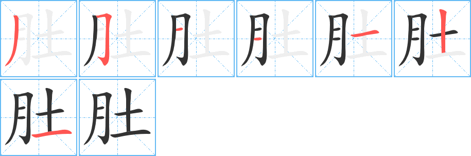 肚的笔顺分步演示