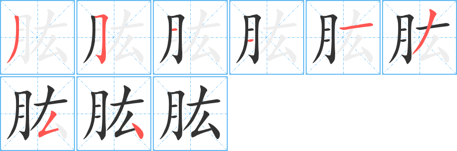 肱的笔顺分步演示