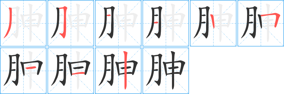 胂的笔顺分步演示