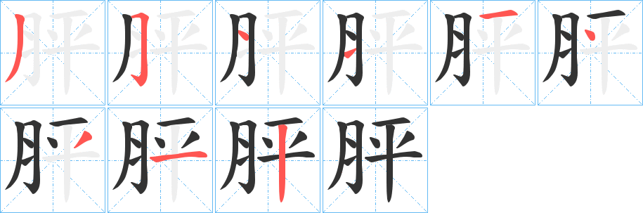 胓的笔顺分步演示