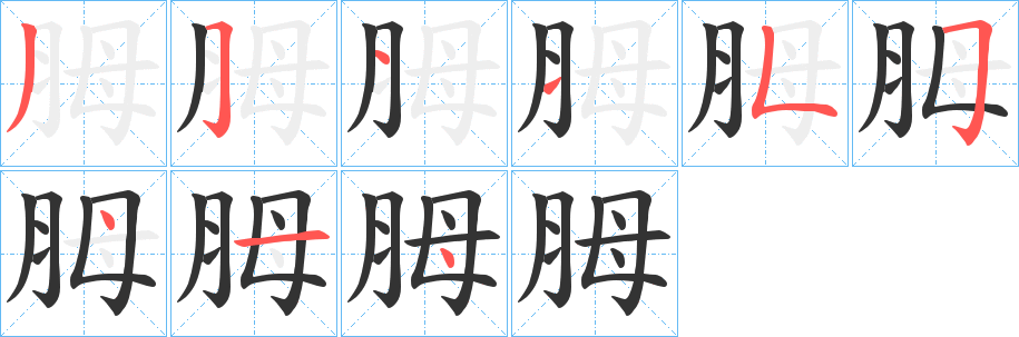 胟的笔顺分步演示