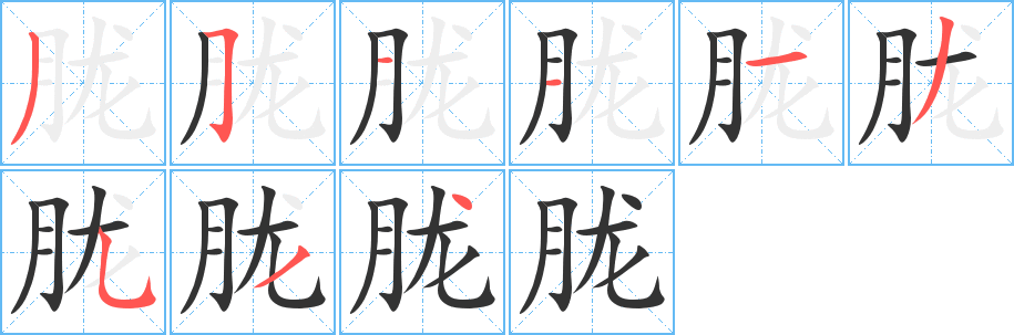 胧的笔顺分步演示