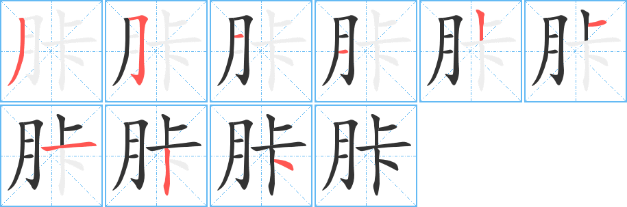 胩的笔顺分步演示