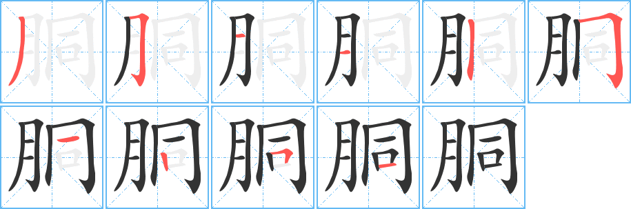 胴的笔顺分步演示