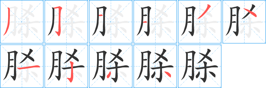 脎的笔顺分步演示