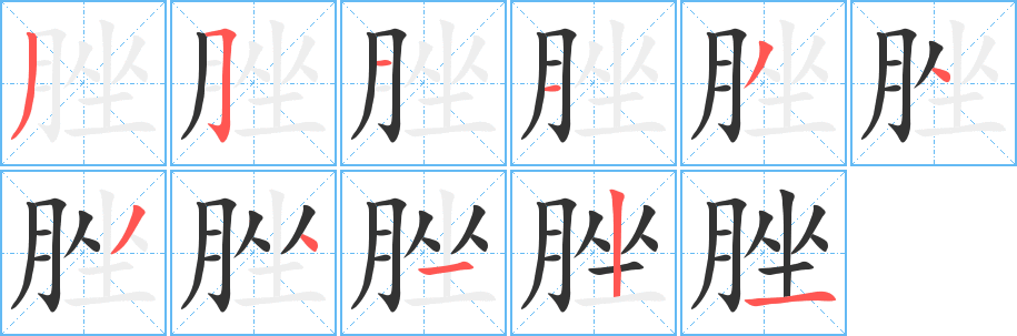 脞的笔顺分步演示