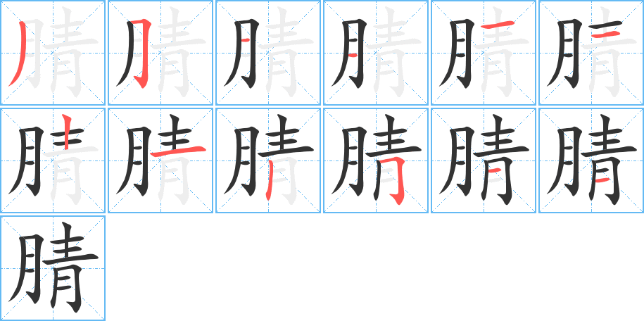 腈的笔顺分步演示