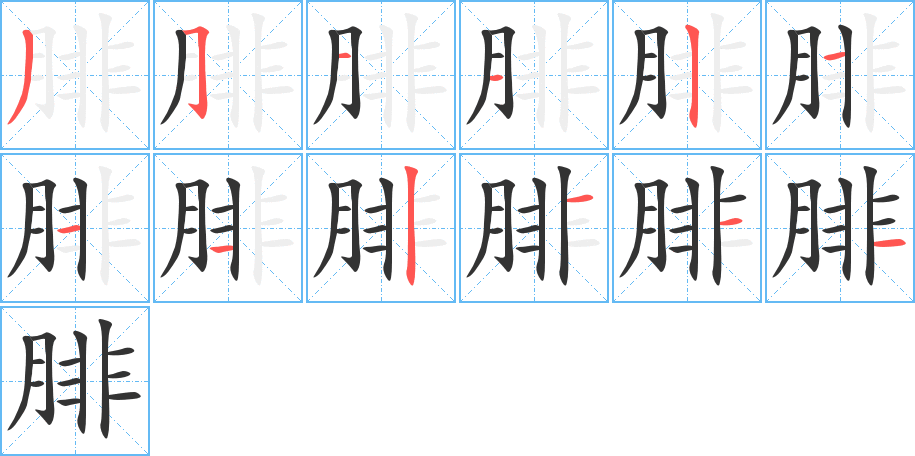 腓的笔顺分步演示