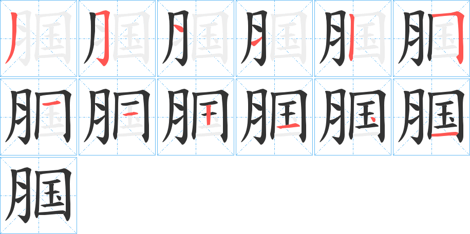 腘的笔顺分步演示