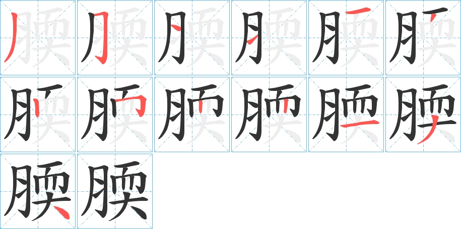 腝的笔顺分步演示