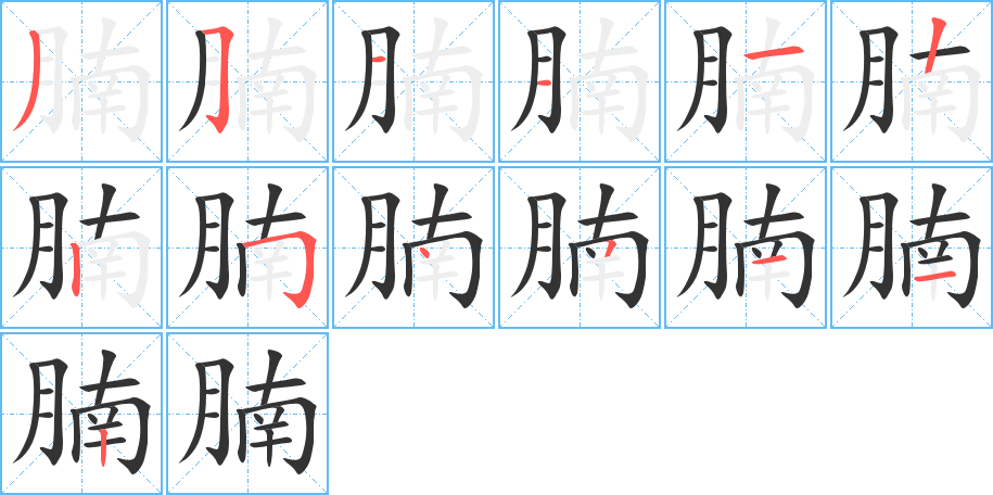 腩的笔顺分步演示