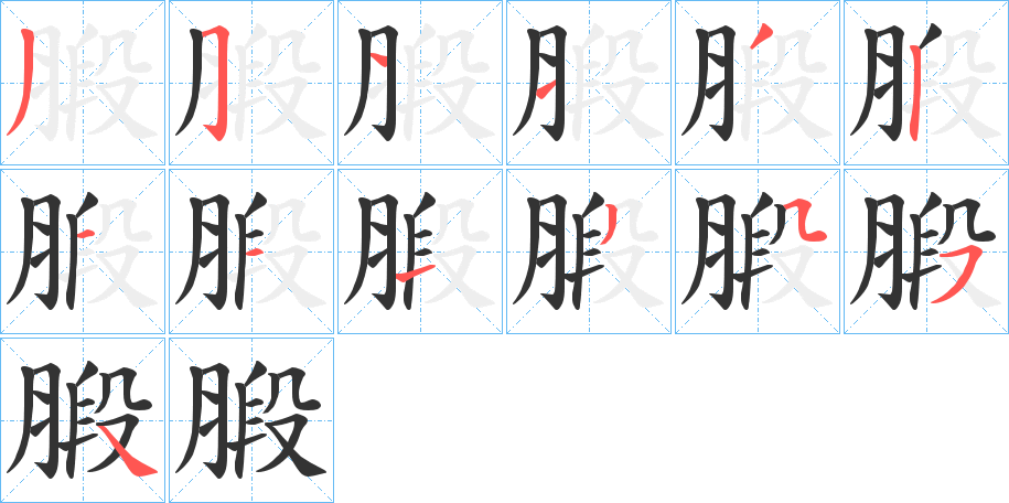 腶的笔顺分步演示