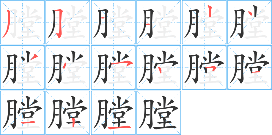 膛的笔顺分步演示