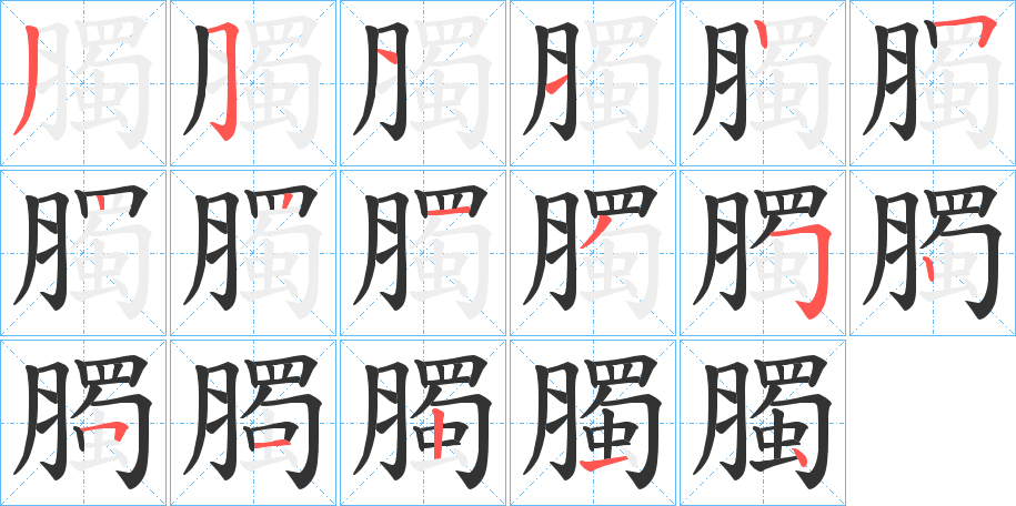 臅的笔顺分步演示