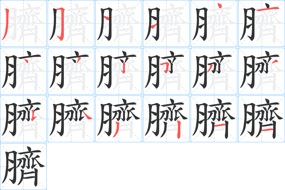 臍的笔顺分步演示