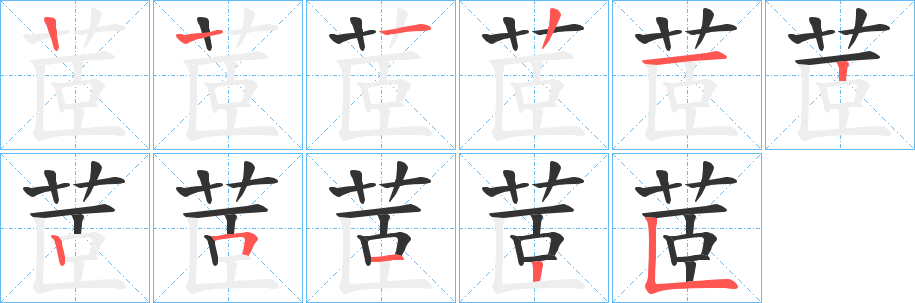 茝的笔顺分步演示