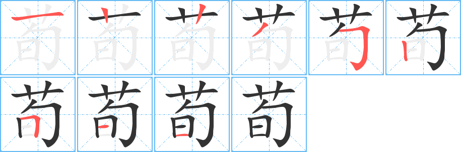 荀的笔顺分步演示