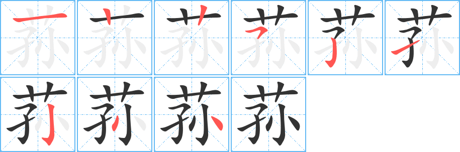 荪的笔顺分步演示