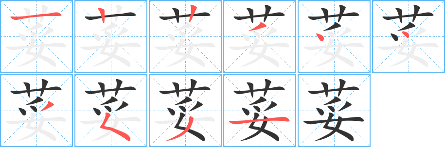 荽的笔顺分步演示