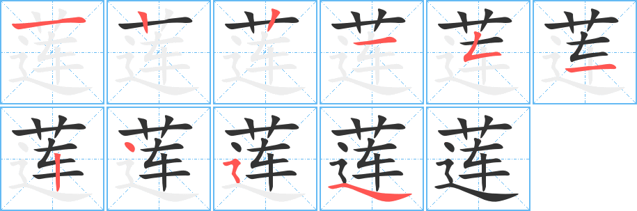 莲的笔顺分步演示