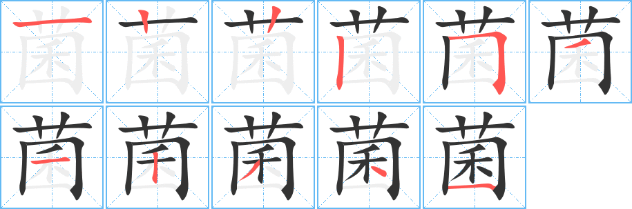 菌的笔顺分步演示