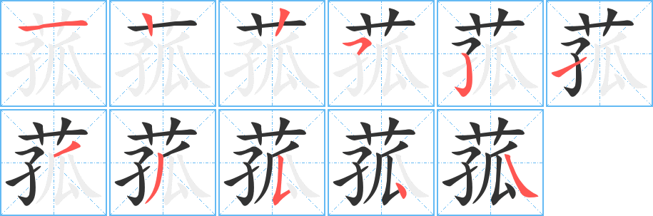 菰的笔顺分步演示