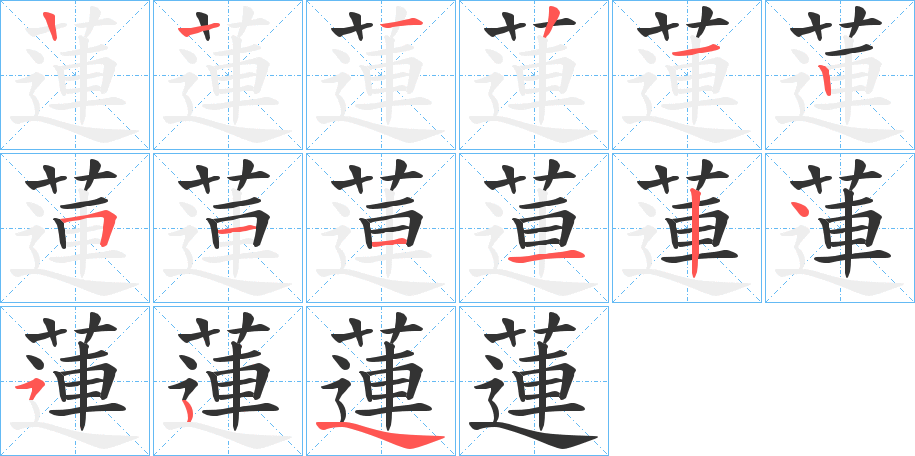 蓮的笔顺分步演示