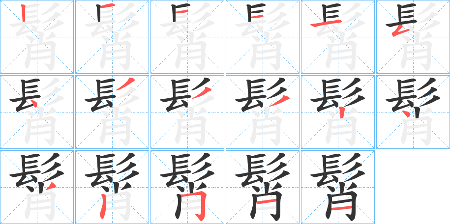 髾的笔顺分步演示