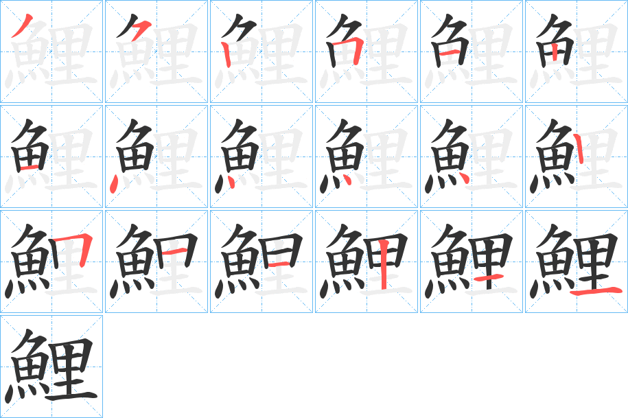 鯉的笔顺分步演示