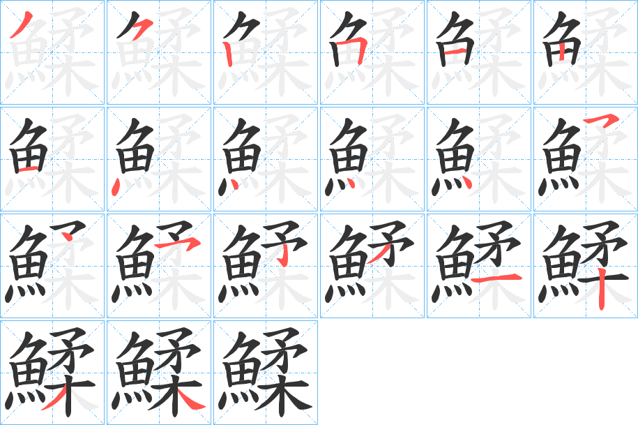 鰇的笔顺分步演示