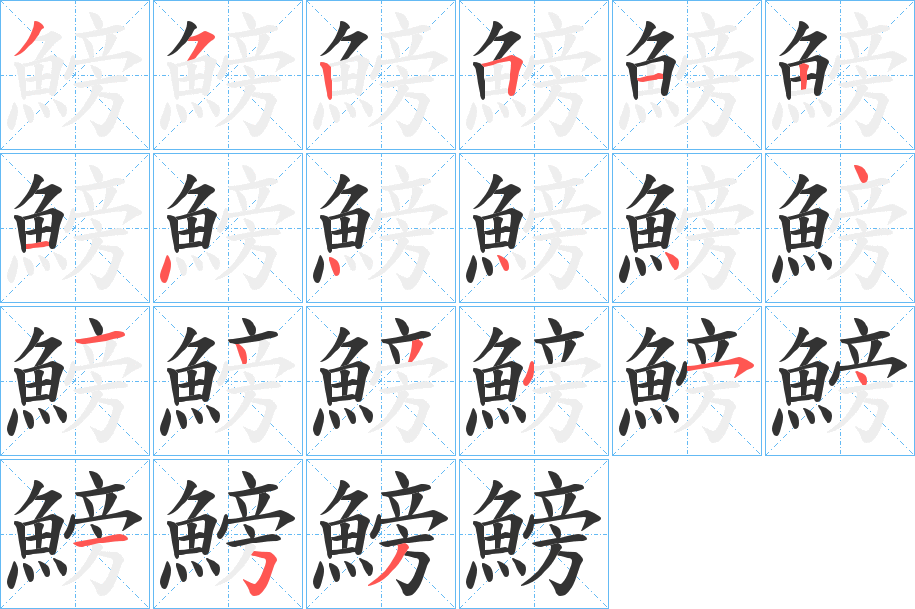 鰟的笔顺分步演示