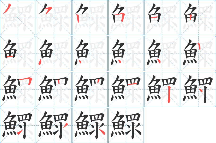 鰥的笔顺分步演示