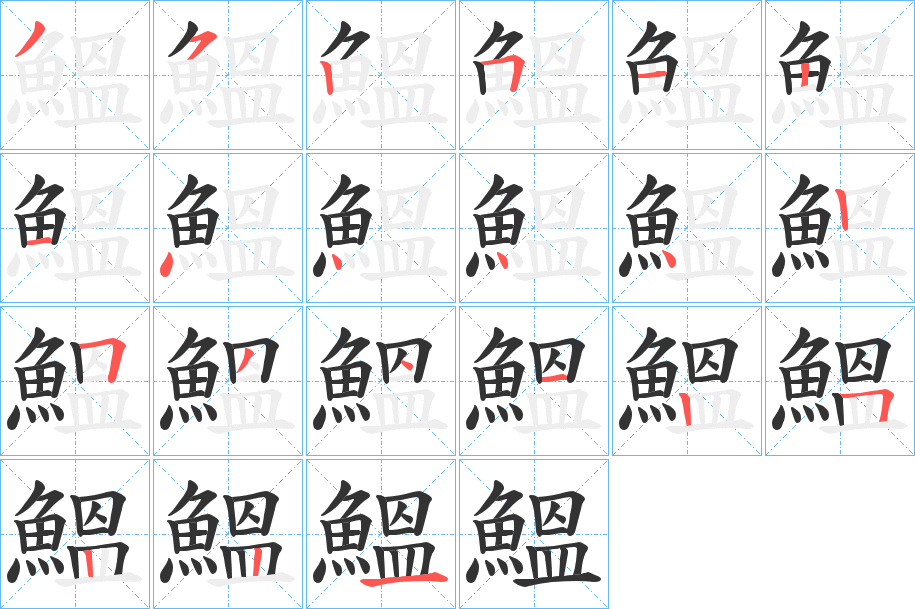 鰮的笔顺分步演示