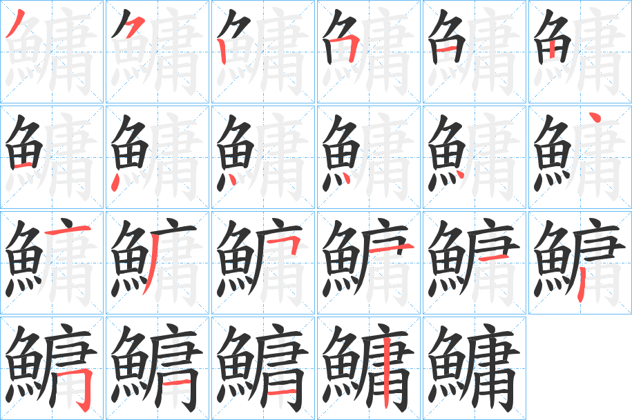 鱅的笔顺分步演示