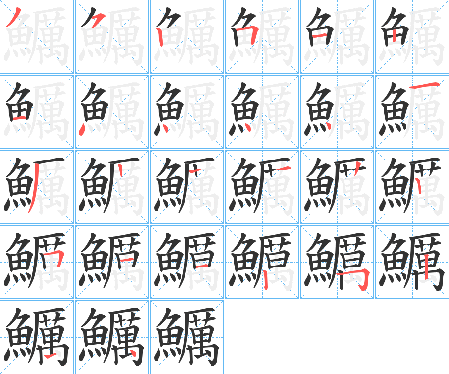 鱱的笔顺分步演示