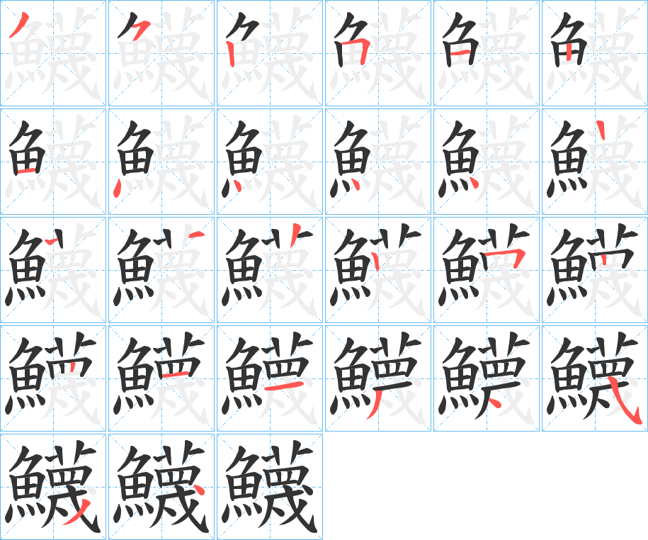 鱴的笔顺分步演示