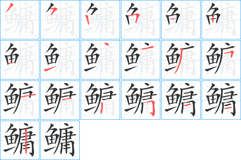 鳙的笔顺分步演示