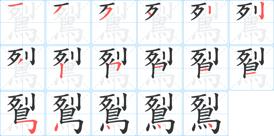 鴷的笔顺分步演示