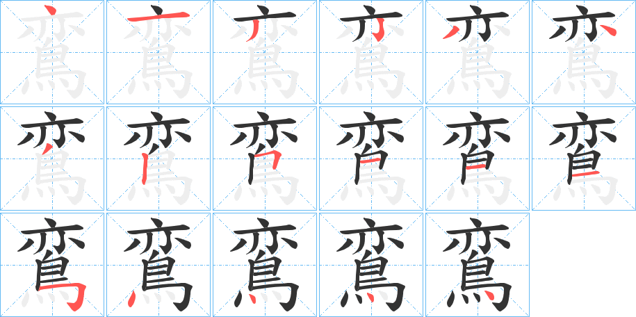 鵉的笔顺分步演示