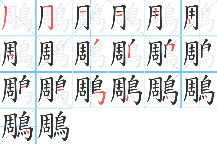 鵰的笔顺分步演示