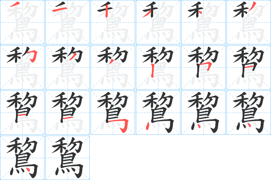 鵹的笔顺分步演示