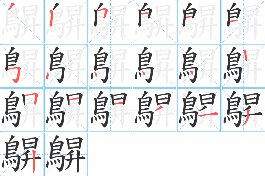 鵿的笔顺分步演示